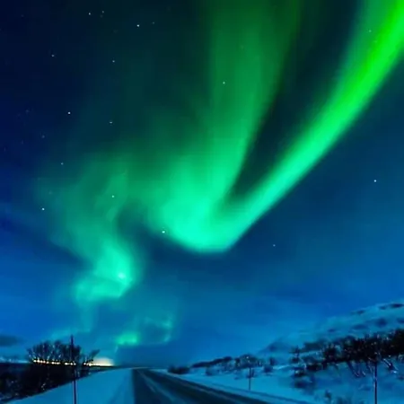 Ildtoppen 4* Leirpollen