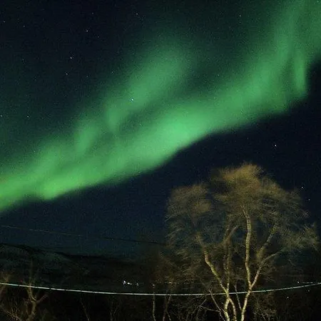 Ildtoppen 4* Leirpollen