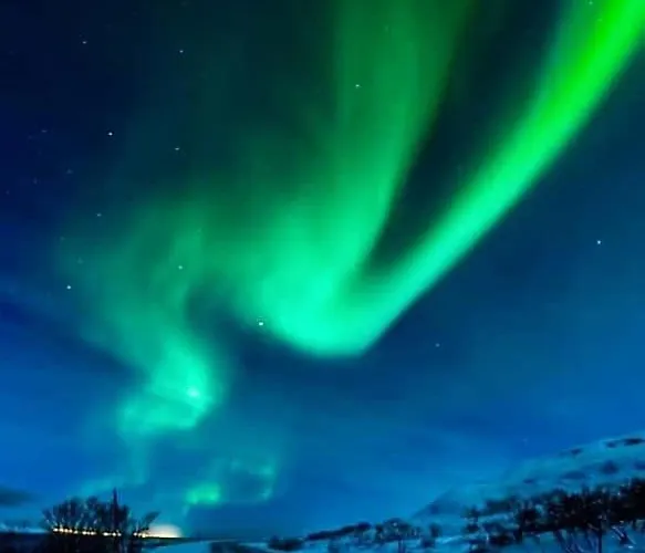 Ildtoppen 4* Leirpollen