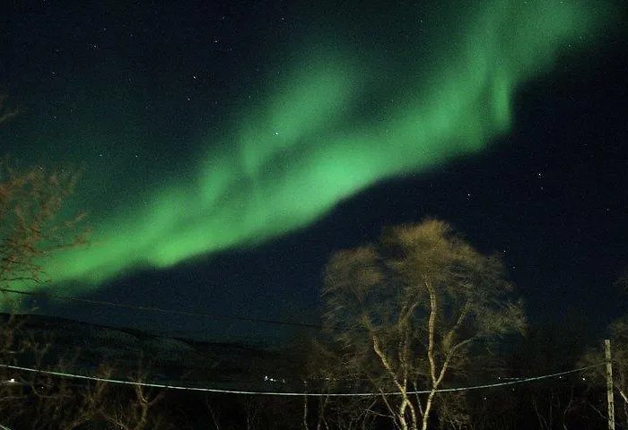 Ildtoppen 4* Leirpollen